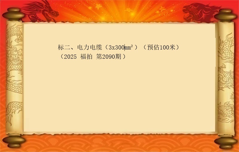 标二、电力电缆（3x300‌mm²）（按米拍卖）（2025 福拍  第2090期）