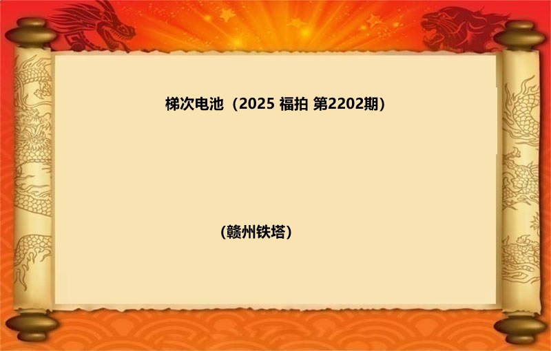 梯次电池（按吨拍卖）（2025 福拍 第2202期）