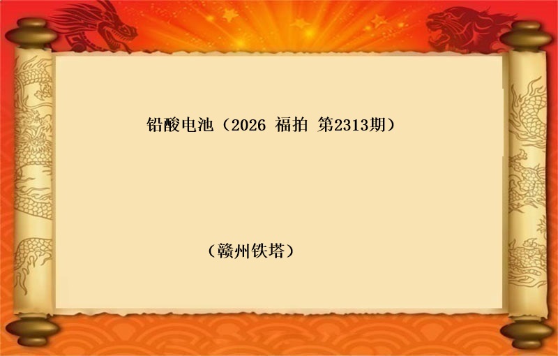 铅酸电池一批（按吨拍卖）（2026 福拍 第2313期）